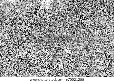 Abstract background in black white. Grunge texture black and white. Black and white halftone