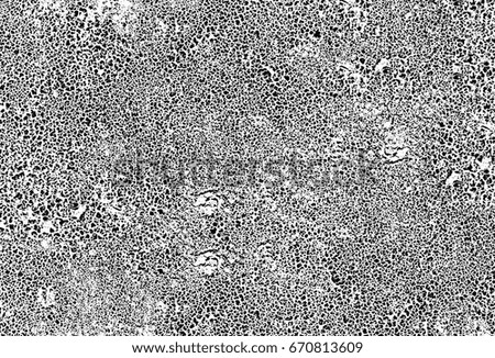 Abstract background in black white. Grunge texture black and white. Black and white halftone
