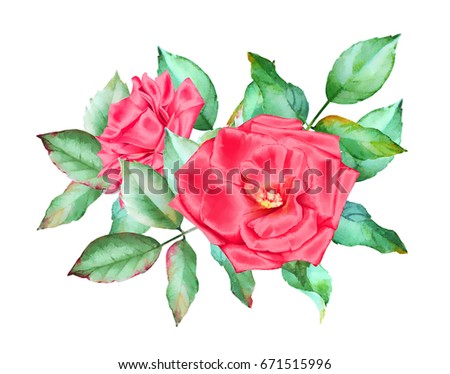 Watercolor hand drawn bouquet of red roses with green leaves isolated on white background.