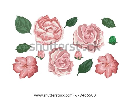 rose flowers element design 