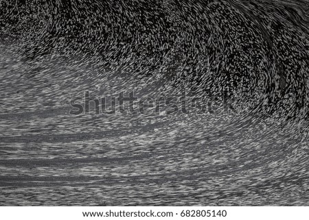 The foam on water surface of a pond.
