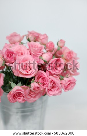 Pink bush roses stand in a bucket