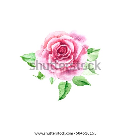 One pink rose. Rose bush. Bouquet. Watercolor painting. Wedding drawings. Greeting card. Flower background, watercolor composition. Hand drawn floral  illustration. Rose backdrop. 