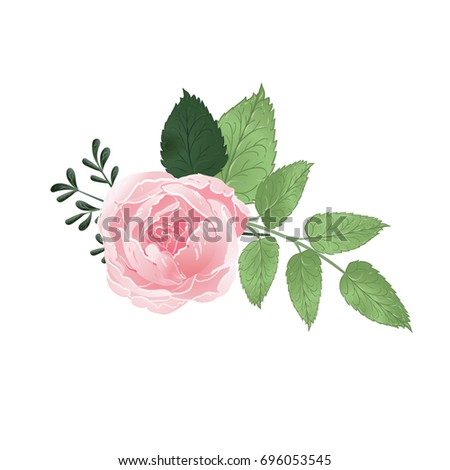 Vector isolated Rose buds with leaves. Beautiful realistic vector elements for invitation, wedding or greeting cards