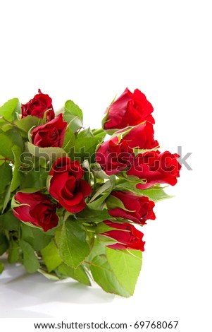 Bouquet of red roses in closeup over white background