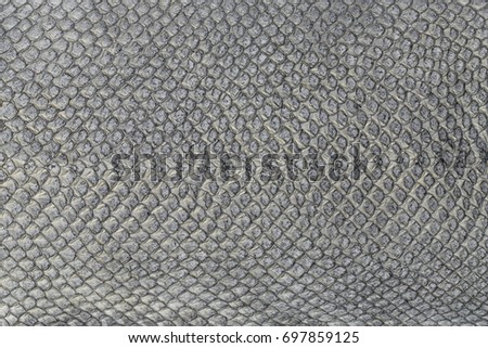 Exotic gray  leather texture background surface. Closeup