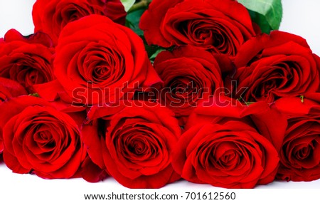 Bouquet of red roses on white background. Close-up.