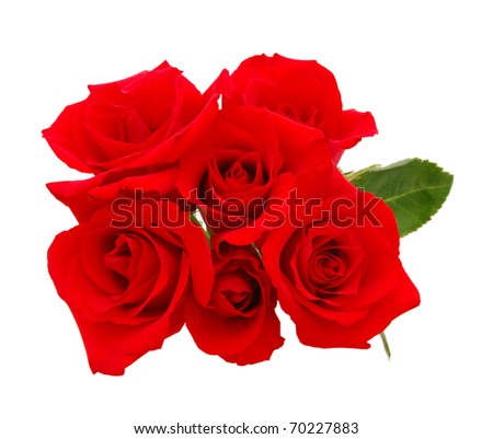 A rose gift on decorating