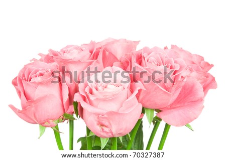 Pink roses bouquet isolated on white background
