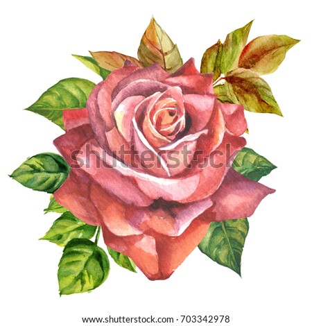 watercolor red rose with leaves