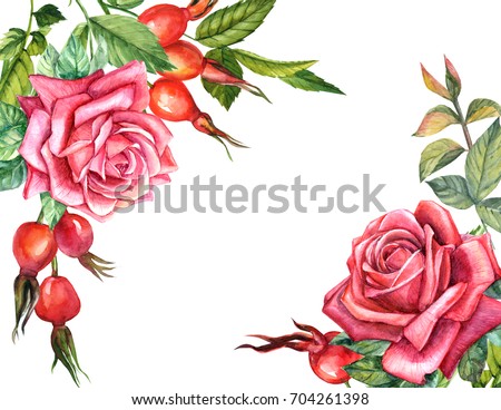 Greeting card, watercolor illustration, bouquet of red rose flowers and rosehip