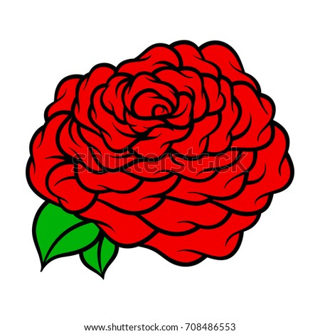 Flower rose, red buds and green leaves. Isolated on white background. Vector illustration.