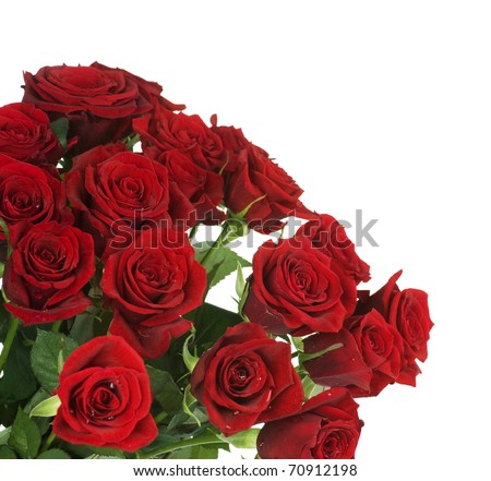 Big Red Roses Bouquet border