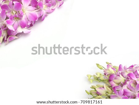 Blue orchid flower background