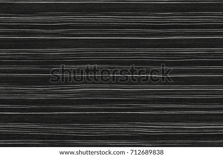 Black wood texture. background old panels
