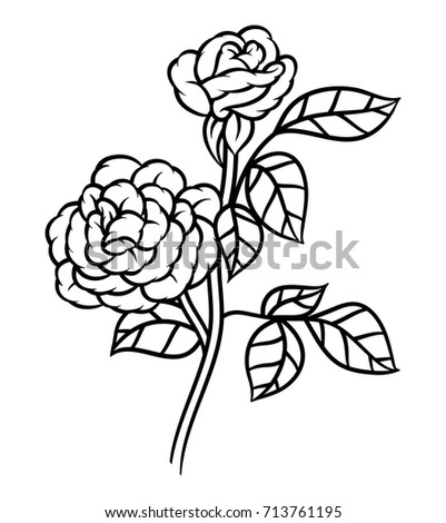 Flower rose, monochrome. Isolated on white background. Vector illustration.