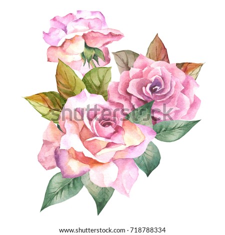 watercolor roses