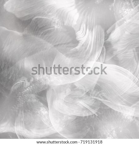 abstract black and white gold fish tails background