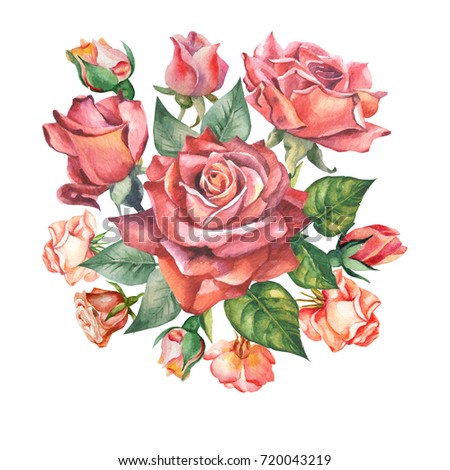 roses bouquet.watercolor