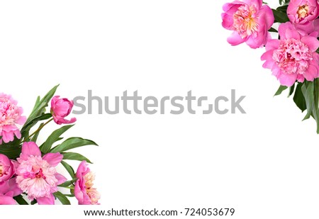 Frame of pink peonies on a white background with space for text. Top view, flat lay