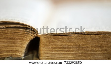 Open old bible book close-up