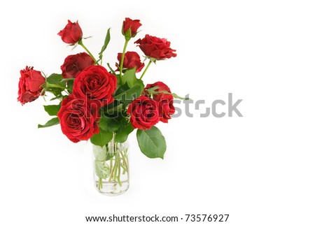 A vase of beautiful red roses with white horizontal background with copy space