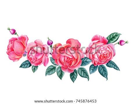 Watercolor hand painted pink roses. Can be used as romantic background for web pages, wedding invitations, greeting cards, postcards, package design, textile, fabrics design, patterns, prints. 