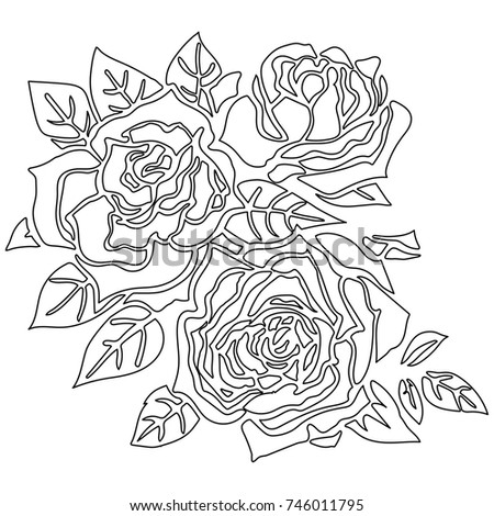 the outlines of roses on a white background
