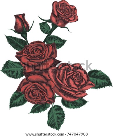 Red roses  for card  design - Vintage vector art