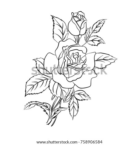 Rose sketch. Black outline on white background. Vector illustration.