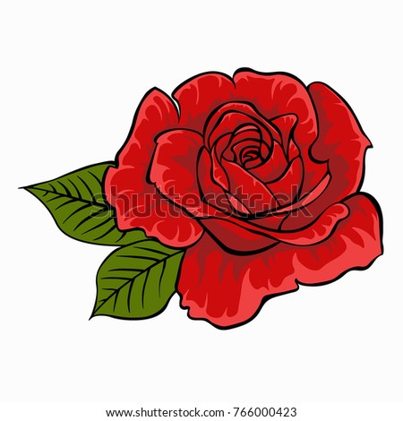 Red rose. Isolated flower on white background. Isolated rose