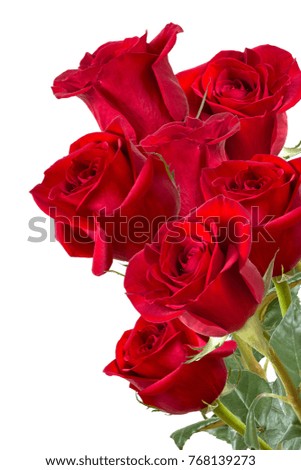 A bouquet of red roses on a white background. A gift for Valentine's Day.