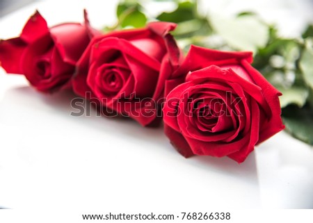 The red roses are placed on a white background 