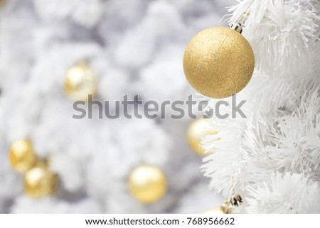 Gold ball on white branch of chrismas tree background (Decoration for Christmas and New year festival