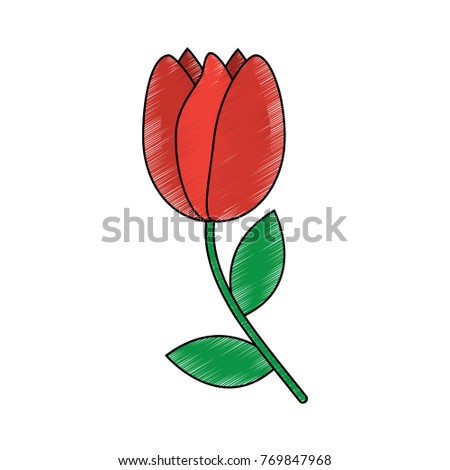 tulip flower icon image 