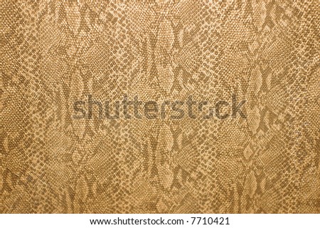 Photo of snakeskin wallpaper background texture