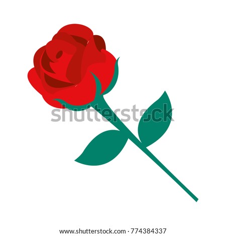 Isolated rose design