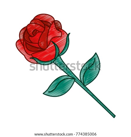 Isolated rose design