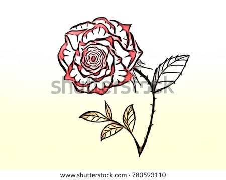 Beautiful rose bouquet with line drawing, valentine concept.
