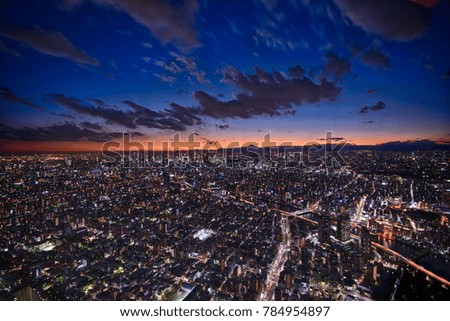 Tokyo Cityscape at dusk with Mount Fuji silhouette