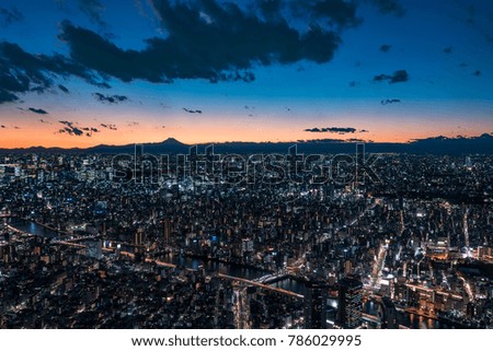 Tokyo Cityscape at dusk with Mount Fuji silhouette