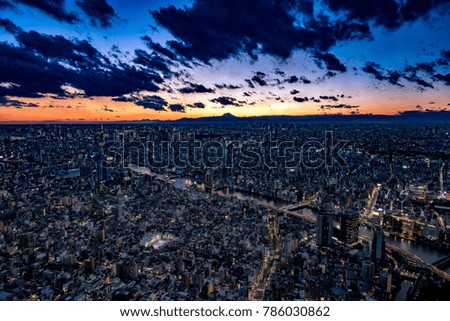 Wide angle of Tokyo Cityscape at dusk with Mount Fuji silhouette