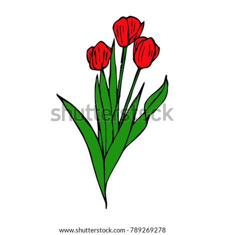Tulip flower illustration. Doodle style. Design, print, decor, textile, paper