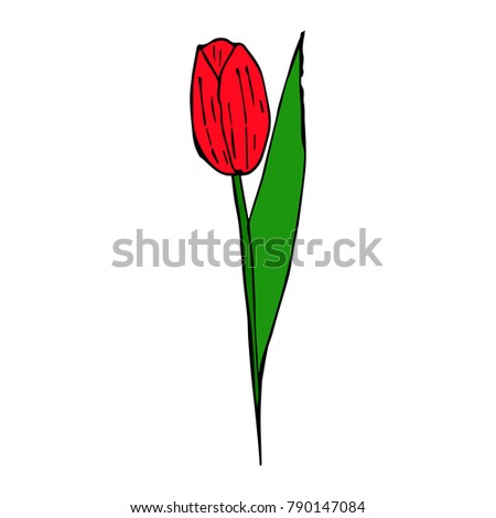 Tulip vector illustration. Doodle style. Design, print, decor, textile, paper