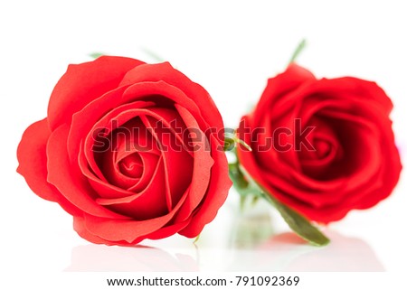 Red plastic fake roses on white background for Valentine's Day