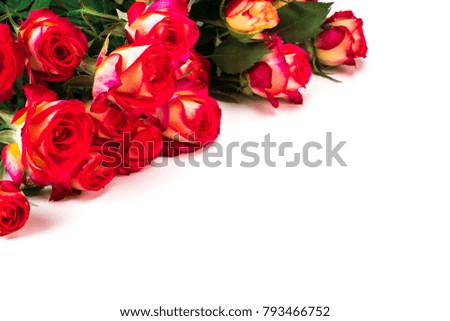 bouquet of beautiful red roses on a white background.