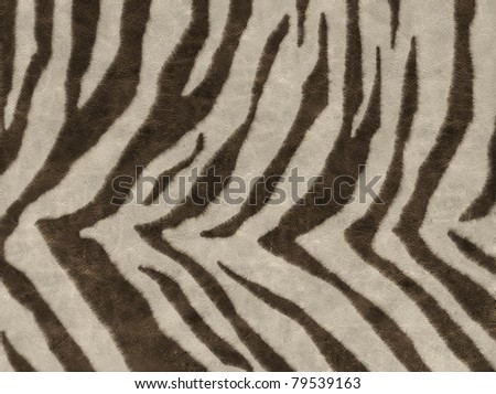 African animal skin texture
