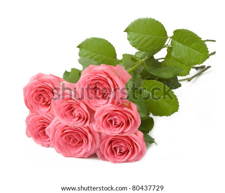 Bunch of seven pink roses isolated on white