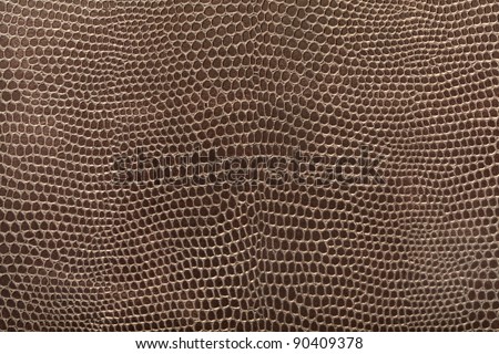 Reptile leather texture background