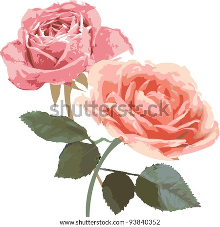Retro vintage roses illustration isolated